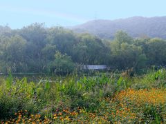 -西湖风景区-江洋畈生态公园