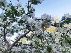 -元大都城垣遗址公园