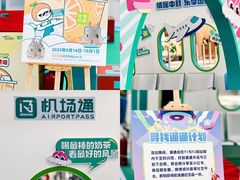 -广州白云国际机场-T2航站楼