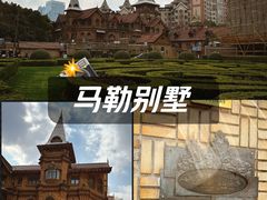 -马勒别墅饭店(静安寺店)