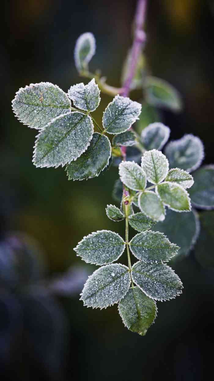 沙河高教园地铁站-"我要说的不是这个地铁站,而是在下面拉黑活.