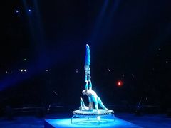 -珠海横琴长隆《卡卡虎奇遇记》