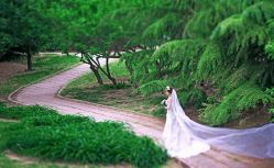 点击看大图 -戛纳印象摄影(潮拍定制馆)