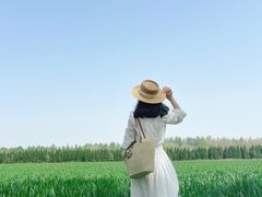 -汉长安城未央宫国家考古遗址公园