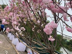 -观澜湖生态运动公社