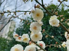 -静安雕塑公园