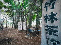 -地心探险极地
