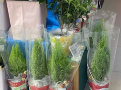 -盒马鲜生(顺义店)