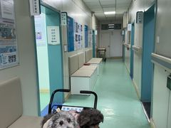 -北京观赏动物医院·24小时大型综合·猫专科·异宠专科