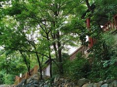 -阳台山自然风景区