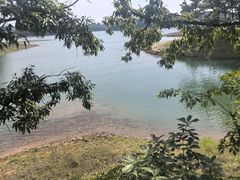 -南湾湖