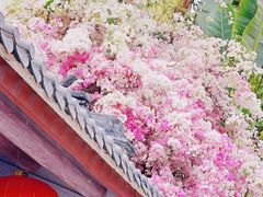 -深圳国际园林花卉博览园