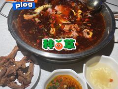 -蛙鱼道美蛙鱼自助火锅(新耍都店)
