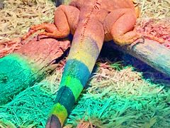 -海合安武汉极地海洋公园