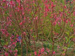 -水濂山森林公园