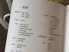 -新加坡航空公司(ION)