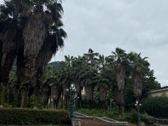 -重庆海昌加勒比海水世界