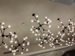 -花城苑广府菜(侨鑫店)