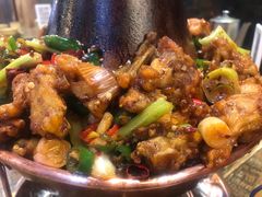 -蛙麻蛙辣炭火蛙锅(南环大街店)