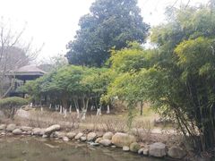 -白马涧龙池景区