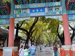 -北京国子监胡同