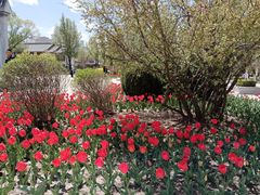 -西宁市人民公园(城西区)