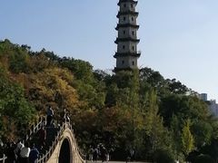 -江心屿景区