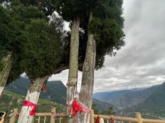 -萝卜寨羌文化生态旅游区