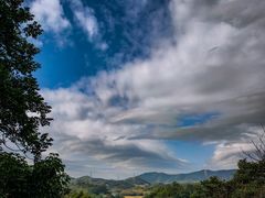 -天鹿湖森林公园