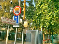 -三里屯东五街银杏大道