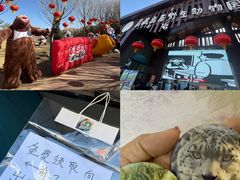 -青藏高原野生动物园