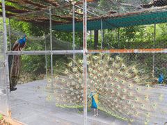 -福建鲤鱼洲酒店