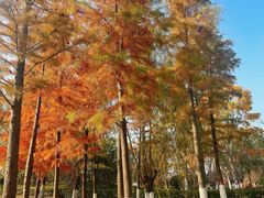 -狼山风景名胜区