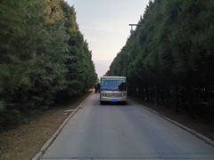 -秦始皇帝陵博物院-丽山园