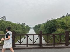 -黄海国家森林公园