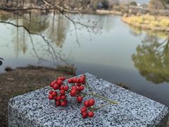 -无锡梅园公园