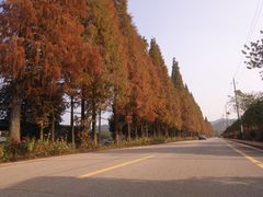 -石燕湖生态旅游景区