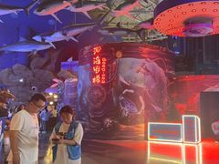 -烟台海昌鲸鲨海洋公园