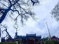 -玉泉观