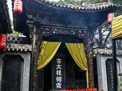 -大槐树寻根祭祖园