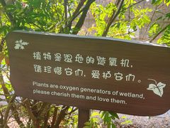 -华侨城湿地公园
