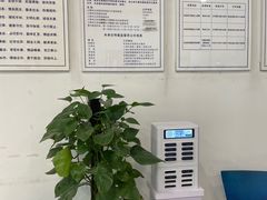 -上海外高桥汽车交易市场