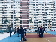 -彩虹村