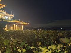 -湖畔居茶楼(湖滨店)