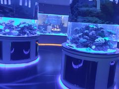 -上和臻品中国菜(花园街店)