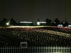 -秀丽东方