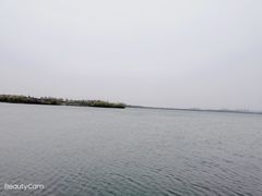 -丁香湖公园