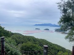 -花竹村