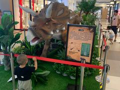 -宁波杉井奥特莱斯广场