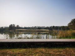 -东郊湿地公园